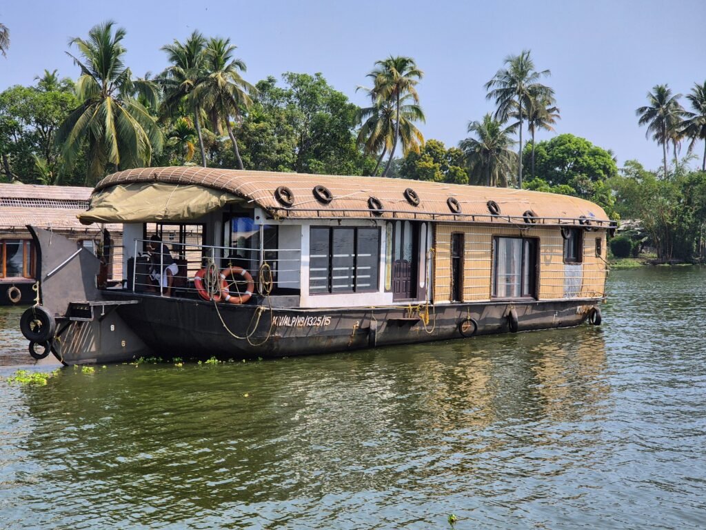 Things to do in Alleppey: A Complete Activity Guide 1 pexels j j wins 485643 31460972