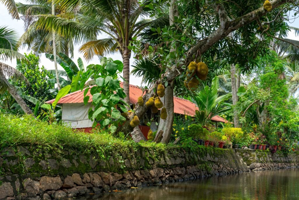 Places to Visit in Alleppey: A Complete Guide to the Backwater Town's Best Sights 1 pexels patricia luquet 293443066 17870091