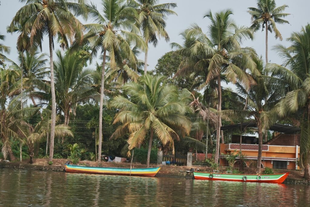 Things to do in Alleppey: A Complete Activity Guide 3 pexels ravikant 35347828