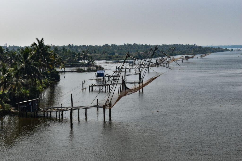 Best Things to Do in Kochi: Local Travel Guide for Curious Travellers 1 Best Things to Do in Kochi: Local Travel Guide for Curious Travellers | Immersive Trips
