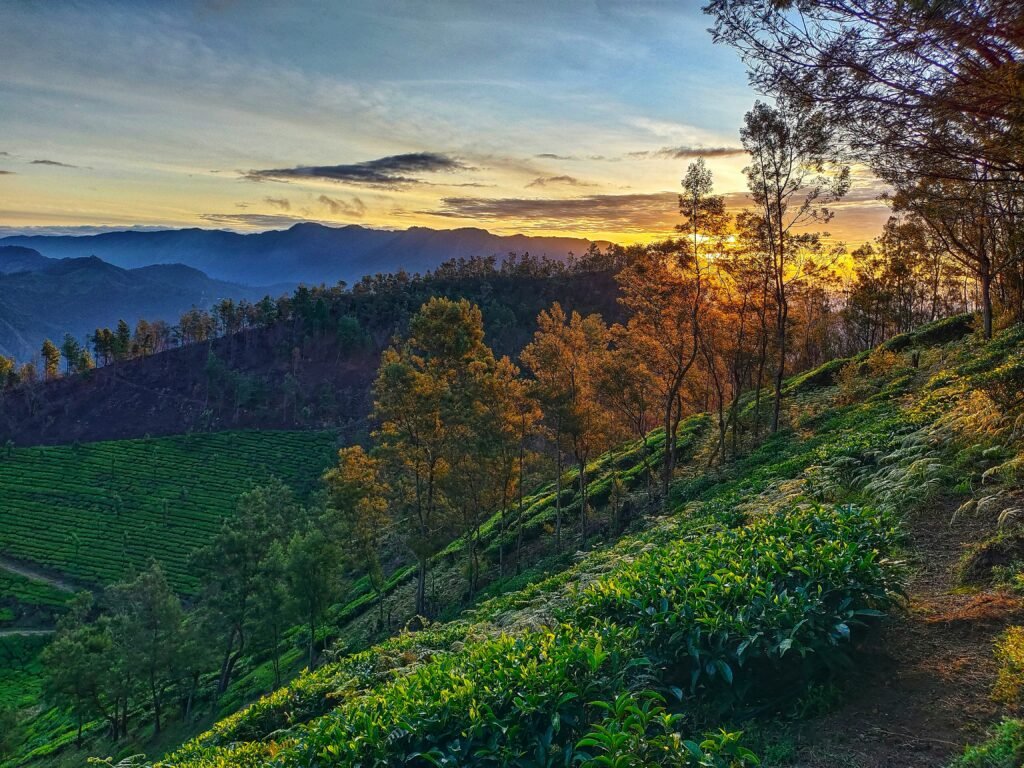 sourav dhar 4fKkr4SD5rw unsplash