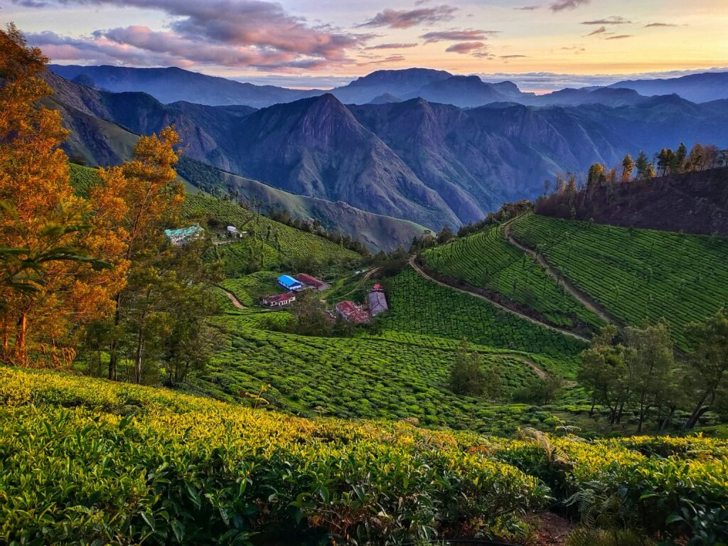 Offbeat Places in Kerala for Immersive Travellers 1 sourav dhar P4xeyW97gPg unsplash