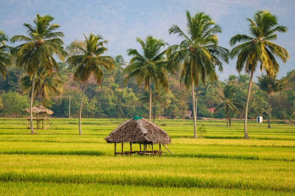 Family Tour Packages in Kerala: Best Routes, Tips & Experiences 2 sreehari devadas nZu8lzfVFw4 unsplash