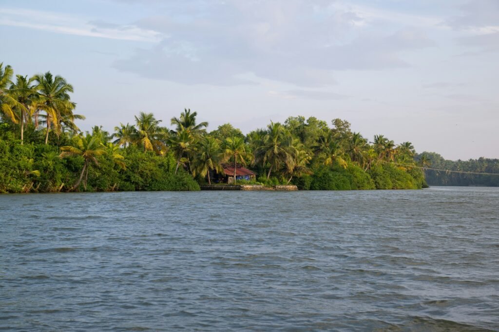 Offbeat Places in Kerala for Immersive Travellers 2 sreenivas oQskbXlqq8c unsplash