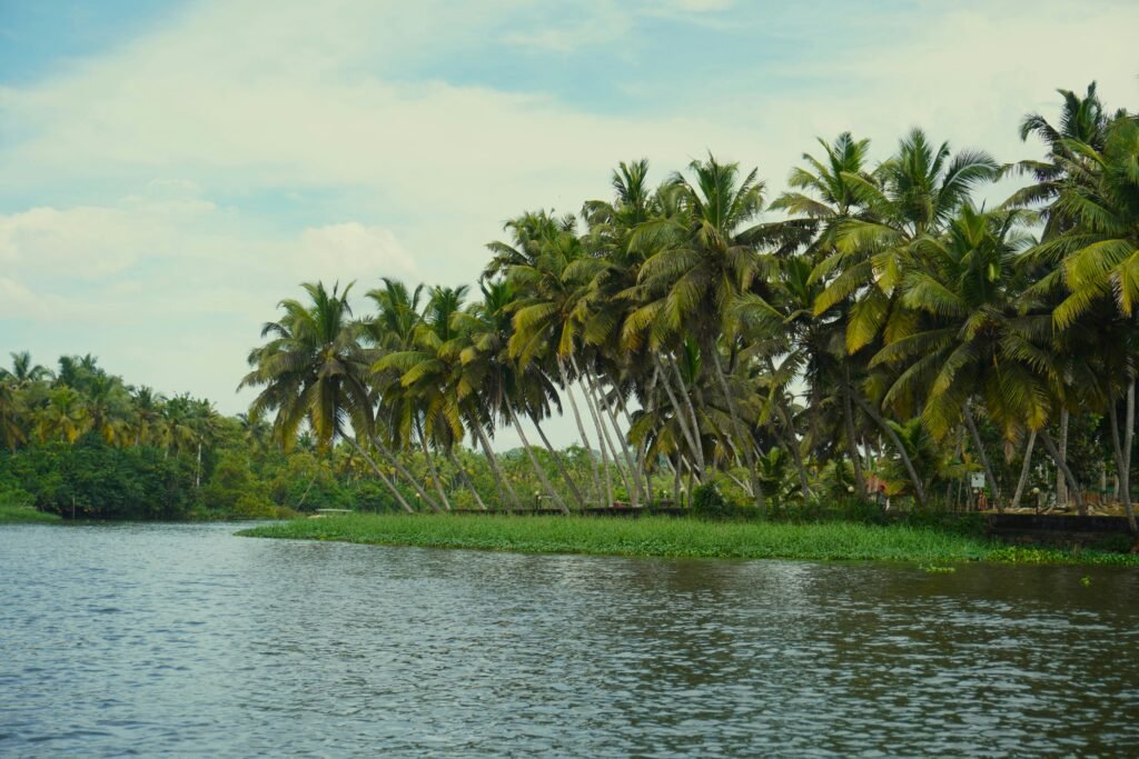 Beaches in Kerala: a Complete Guide to the State's Best Coastline 2 tojo basu OQ2d78P3UnM unsplash