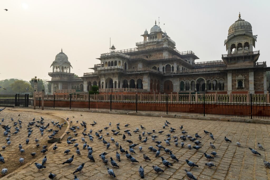 Places to Visit in Jaipur: Complete Guide to the Pink City's Best Sights 2 Albert Hall Museum Jaipur