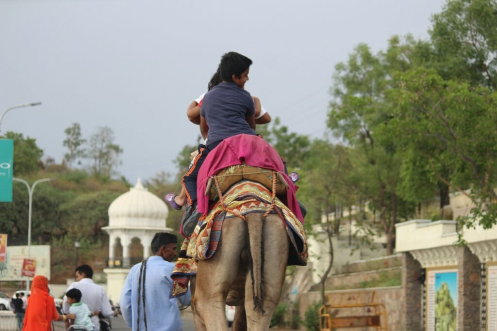 Family Tour Packages in Rajasthan: Best Itineraries, Places & Travel Tips 2 Camel Ride in Rajasthan