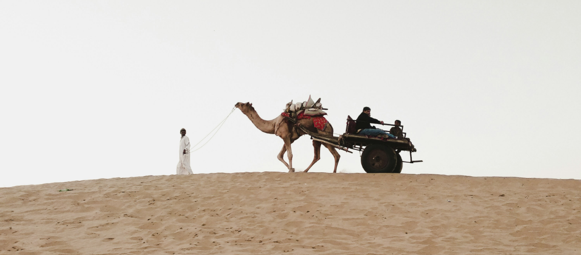 Desert safari in Rajasthan - Immersive Trips