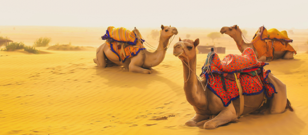 Jaisalmer travel guide best places food and desert experiences Featured Image