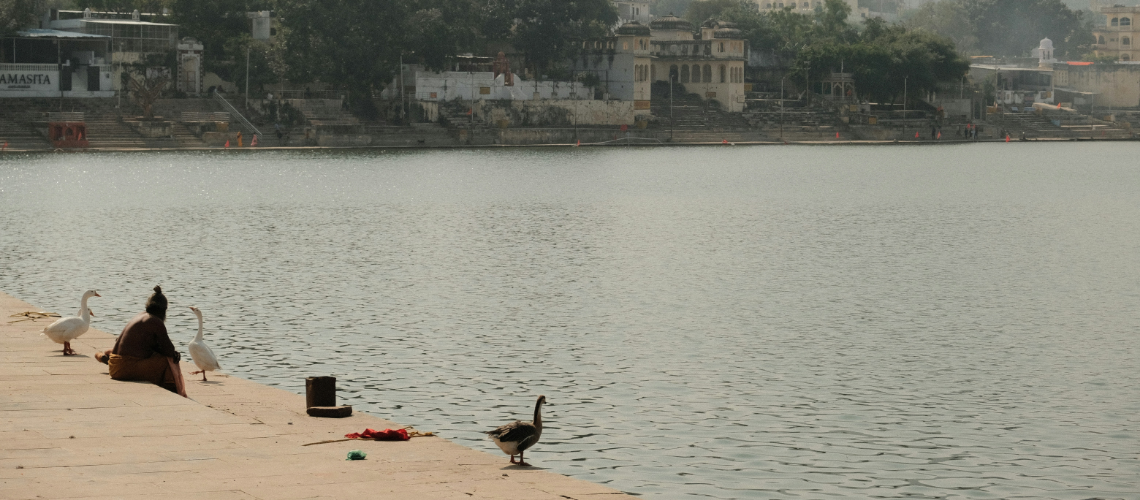 Pushkar Lake is a sacred water body located in the town of Pushkar in the Ajmer district of Rajasthan, India -Places to visit in Pushkar - A guide by Immersive Trips