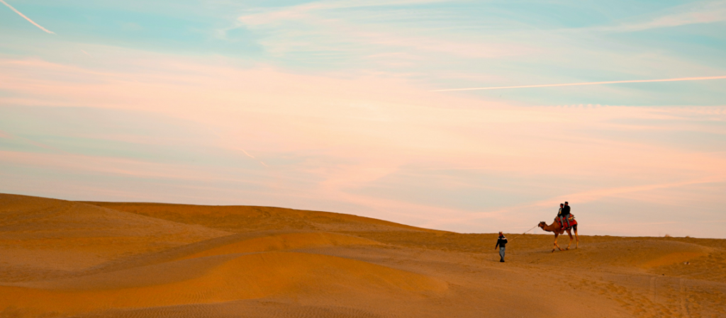 Rajasthan Travel Guide: Routes, Costs and Experiences | Immersive Trips