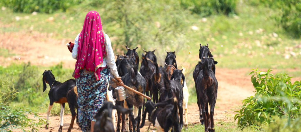 Rajasthan village experiences rural life and community tourism Featured Image