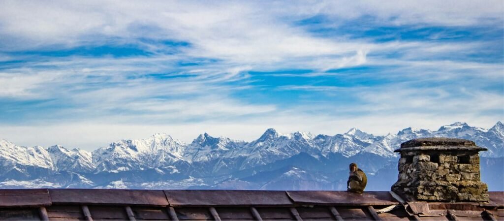Best Things to Do in Dalhousie: Experiences Worth Adding to Your Trip 6 Best Things to do in Dalhousie - A rooftop in Dalhousie, a popular hill station in Himachal Pradesh, India.