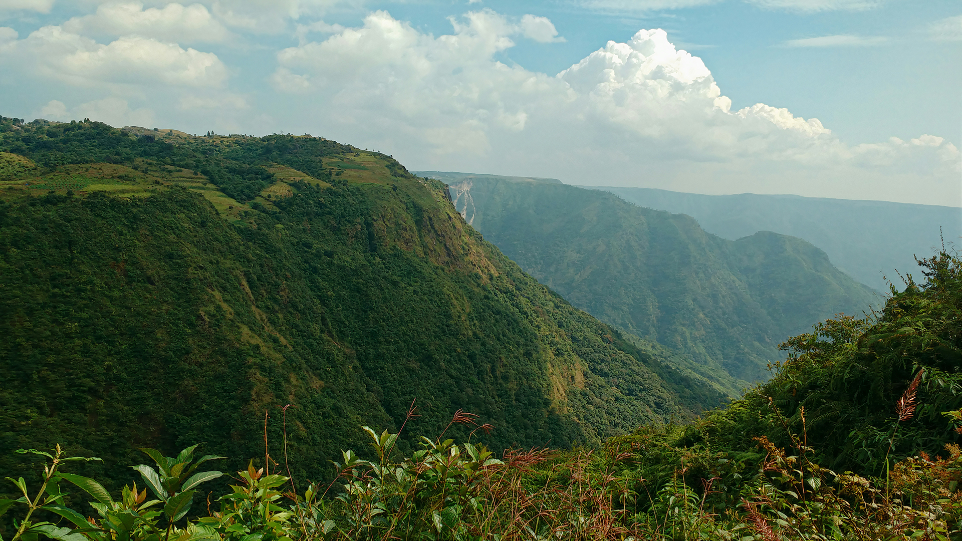 Alluring Northeast Tour: A Guide to This Assam and Meghalaya Circuit